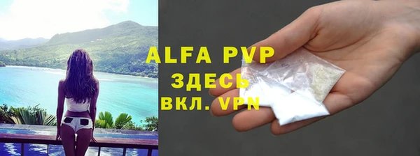 стаф Арсеньев