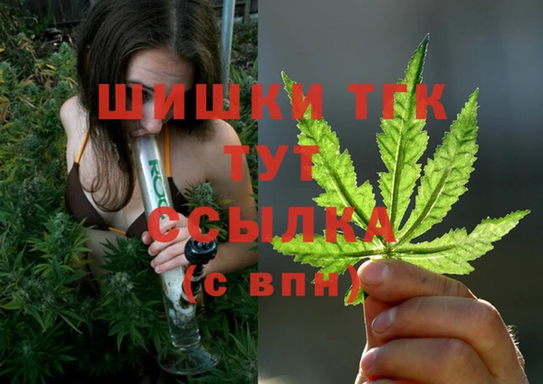 стаф Арсеньев
