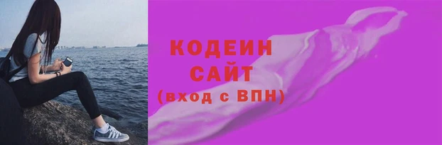 стаф Арсеньев