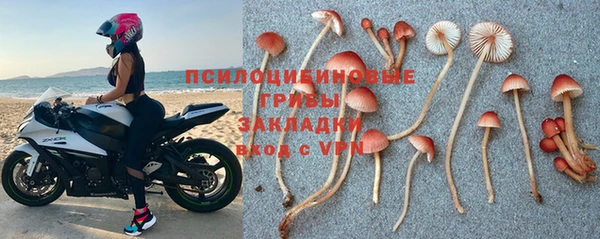 дурь Армянск