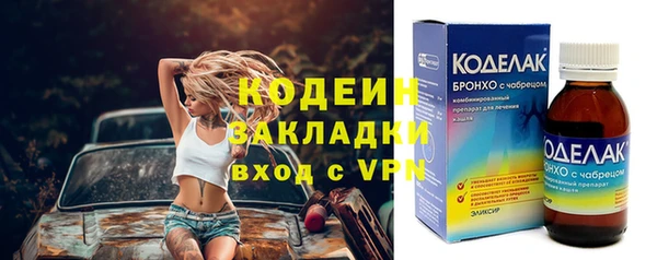 стаф Арсеньев