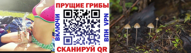 ОМГ ОМГ ONION  Багратионовск  Галлюциногенные грибы ЛСД 